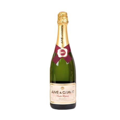 Cava Juve Camps Reserva Vintage